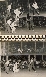 Seymour Girls Softball Circa 1951 